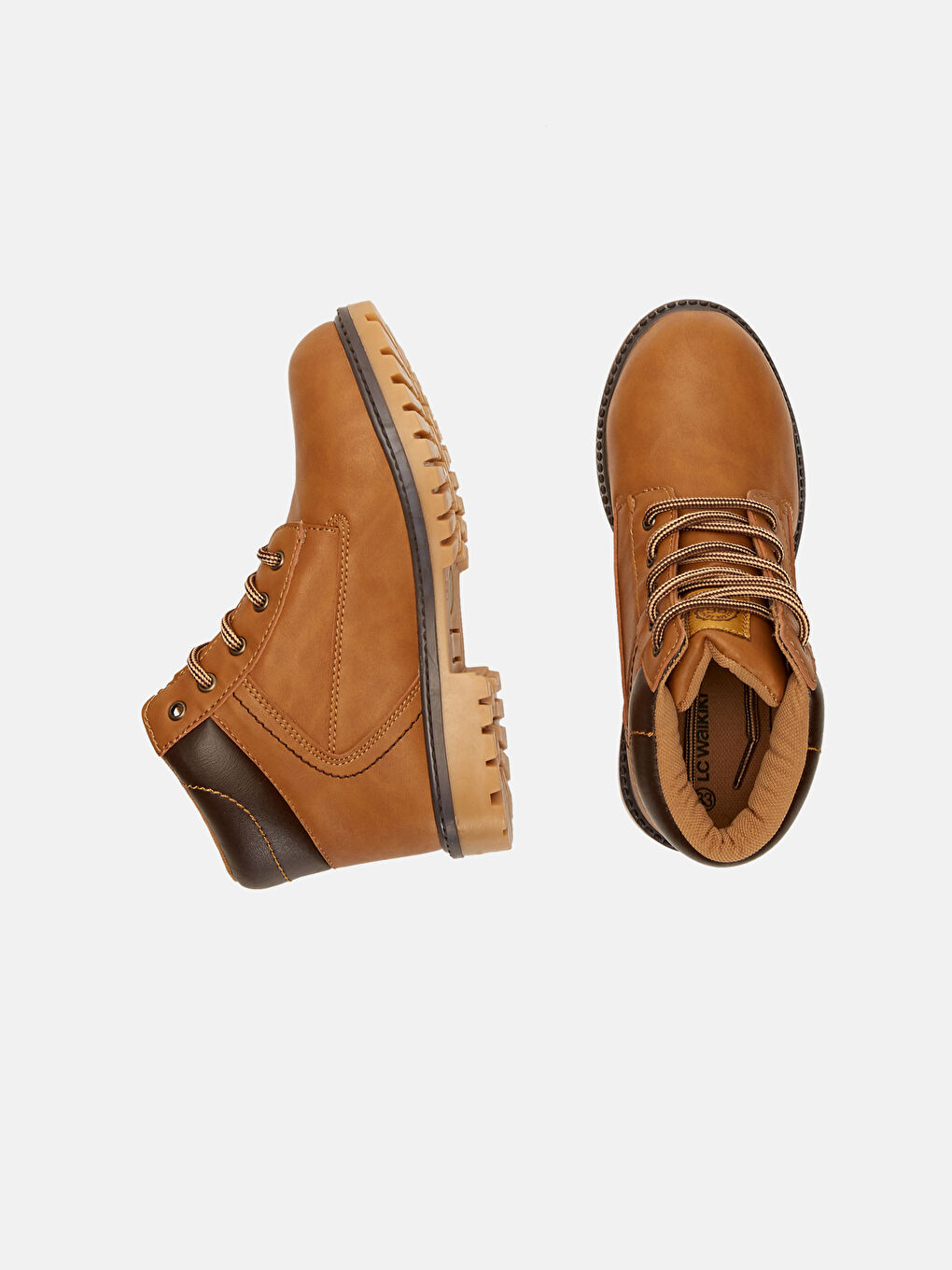 Kahverengi Tütün Bot-1