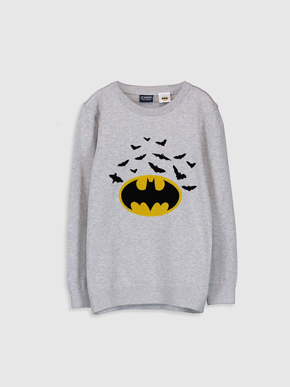 Crew Neck Boys' Sweater