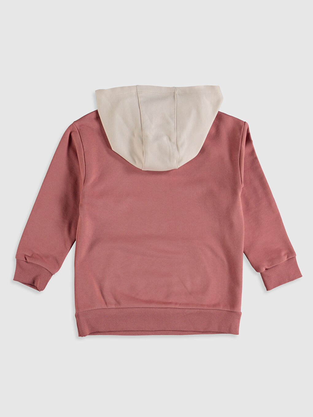 Girl PINK Sweatshirt-2