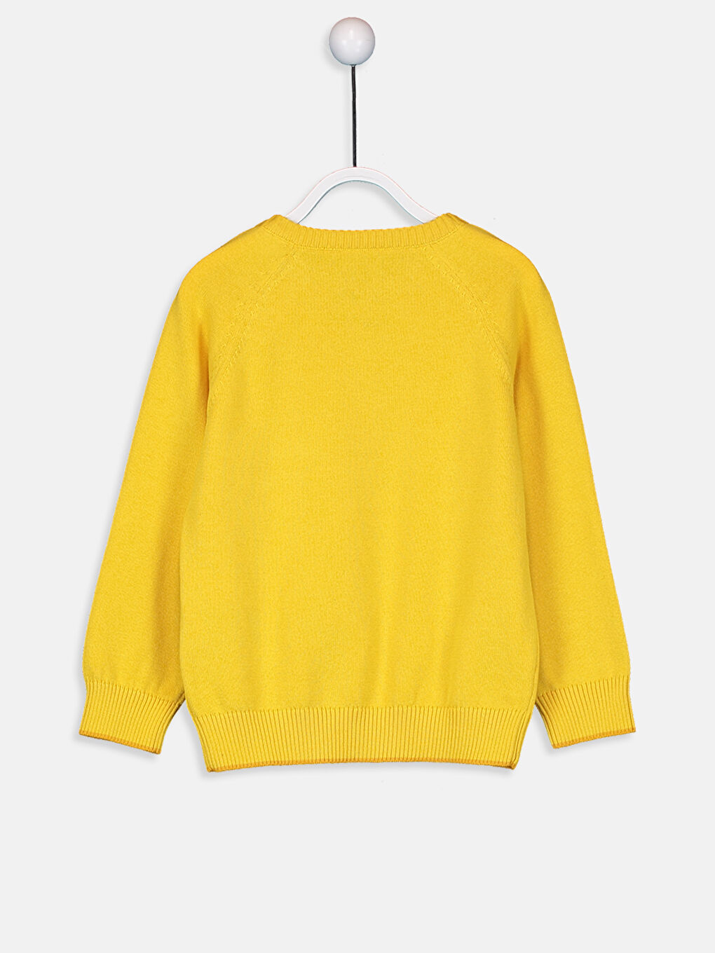 Canlı Sarı Kazak-1