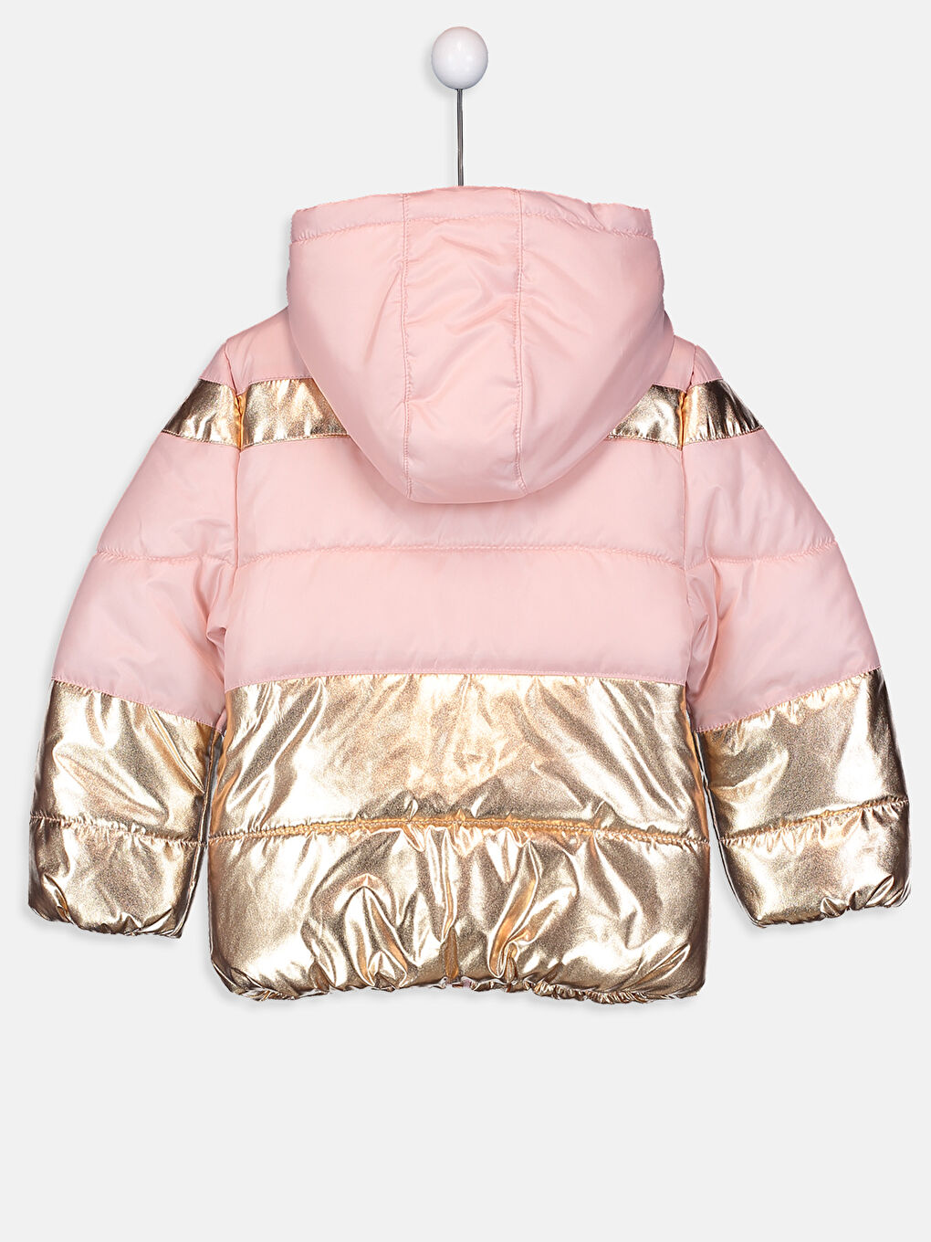 Pembe Gül Kurusu Mont-1