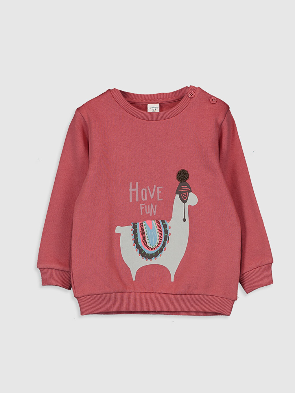 Baby Boy PINK Sweatshirt