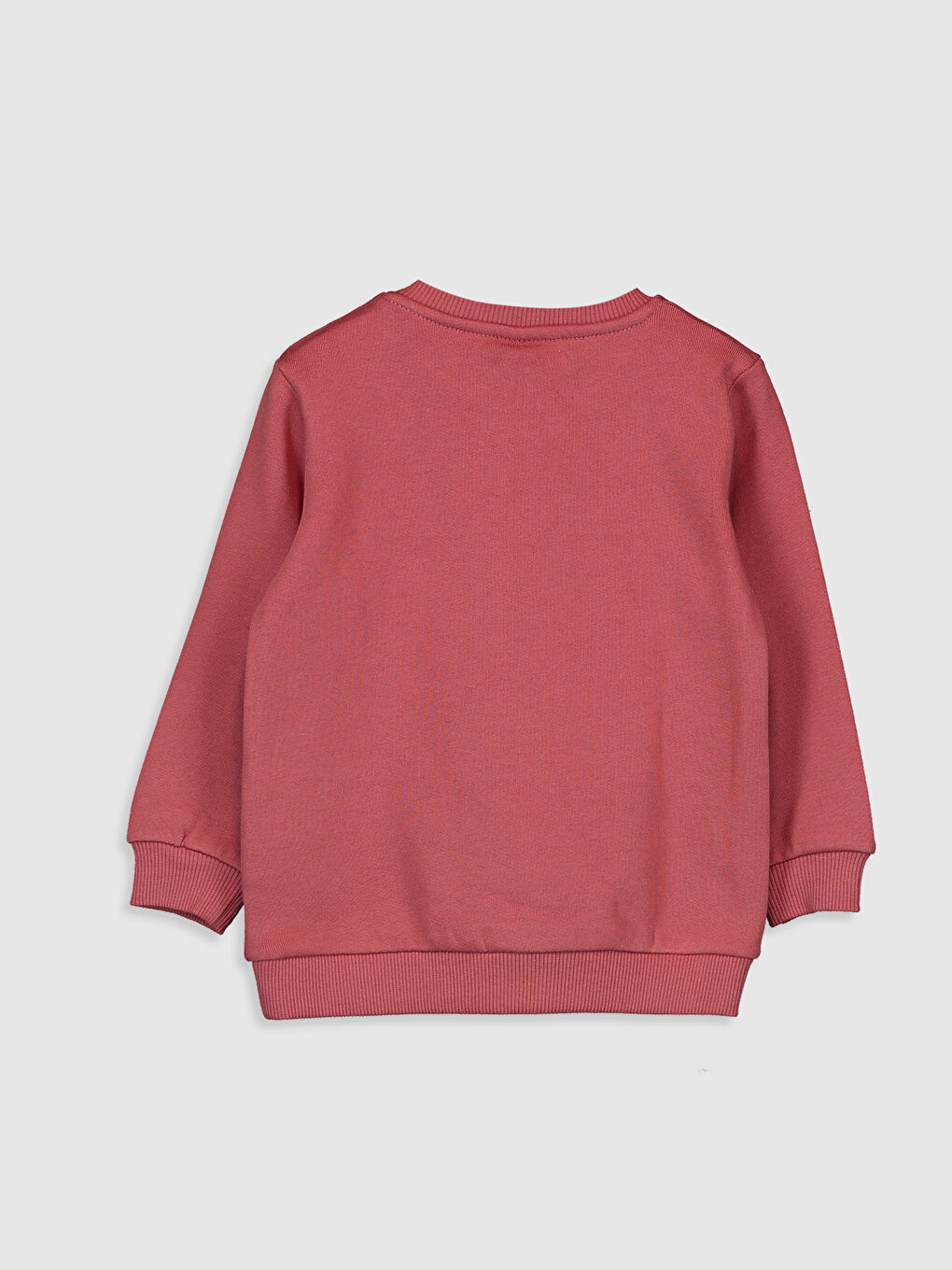 Baby Boy PINK Sweatshirt-1