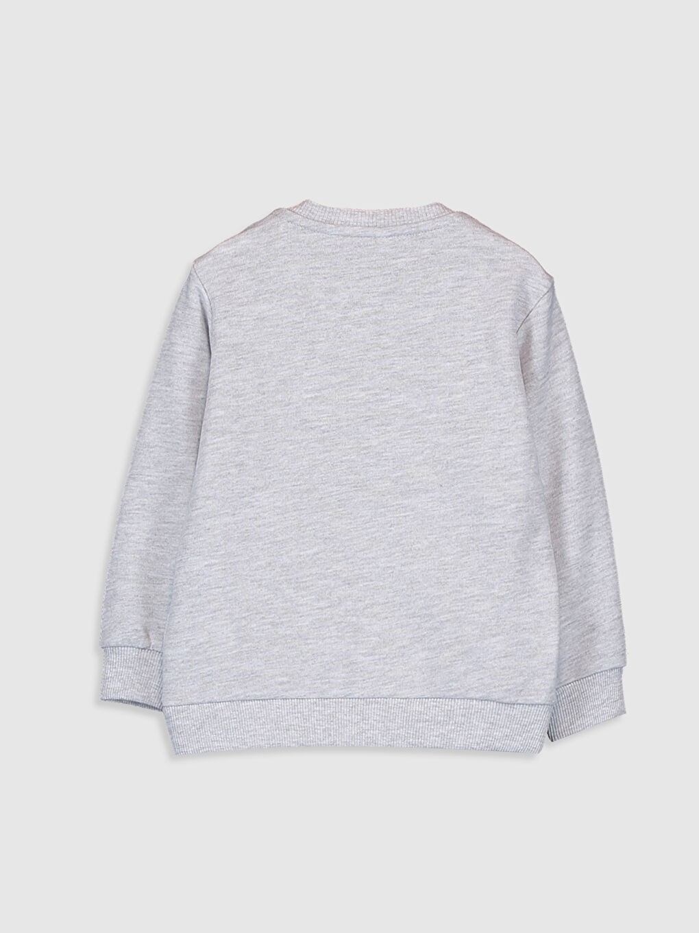 Crew Neck Long Sleeve Printed Baby Boys' Sweatshirt-1