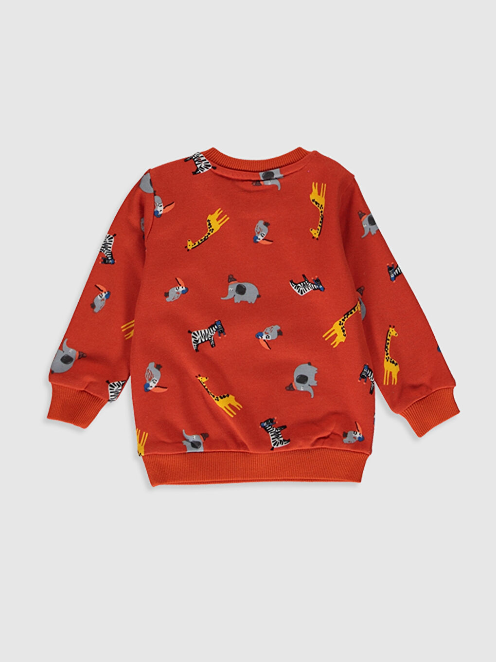 Baby Boy GREY Sweatshirt-1
