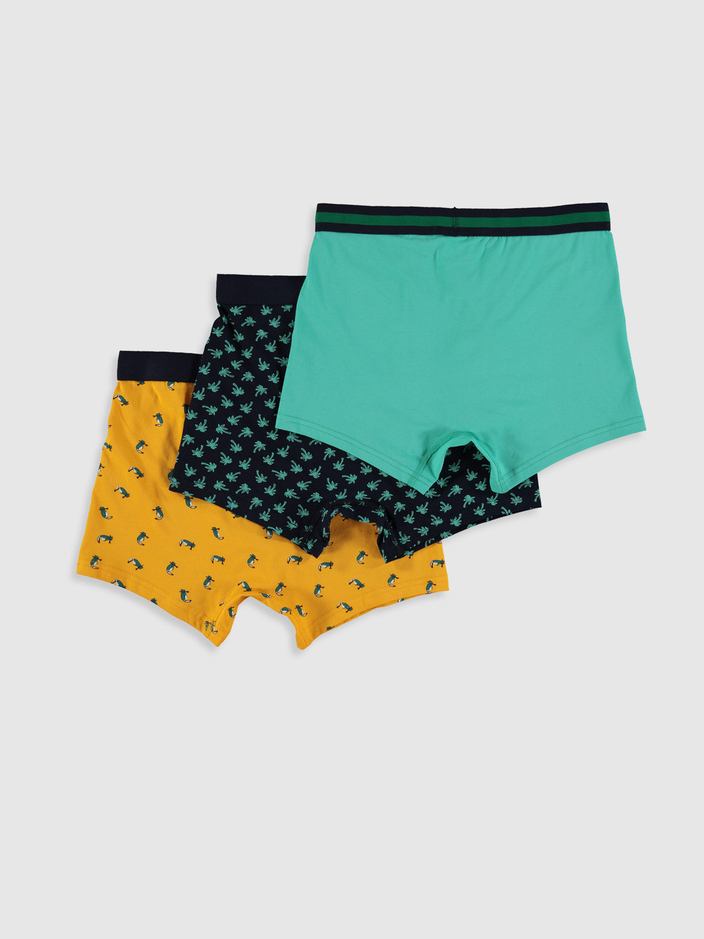 Orta Yeşil Boxer-1