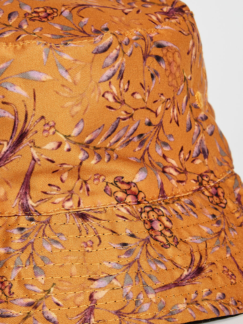 Ерлер Аралас Панама-2