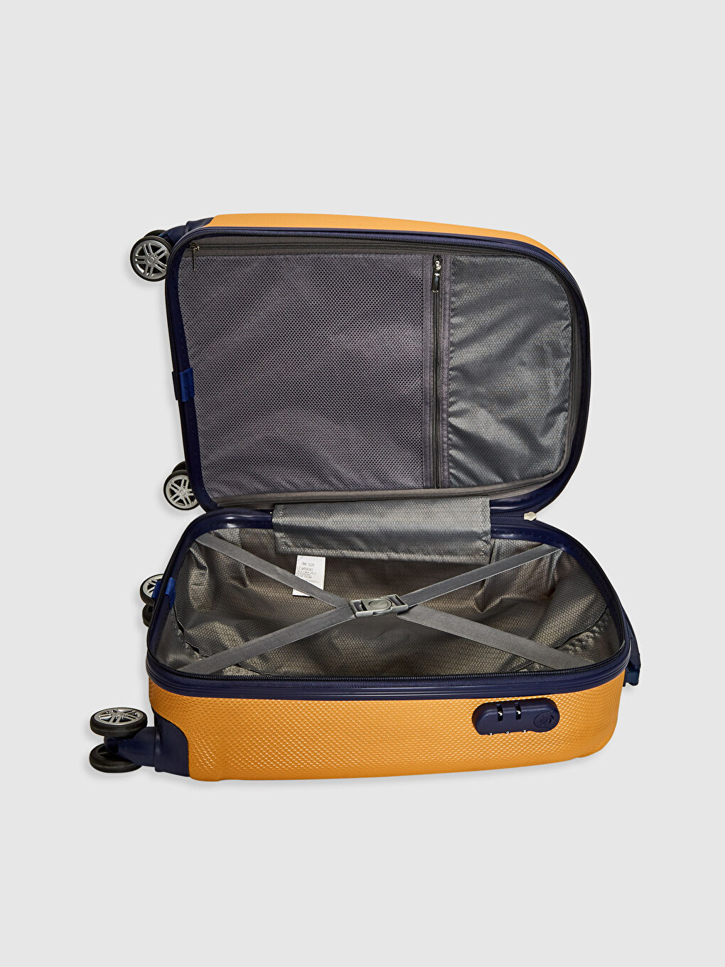 Large-Sized Luggage-1