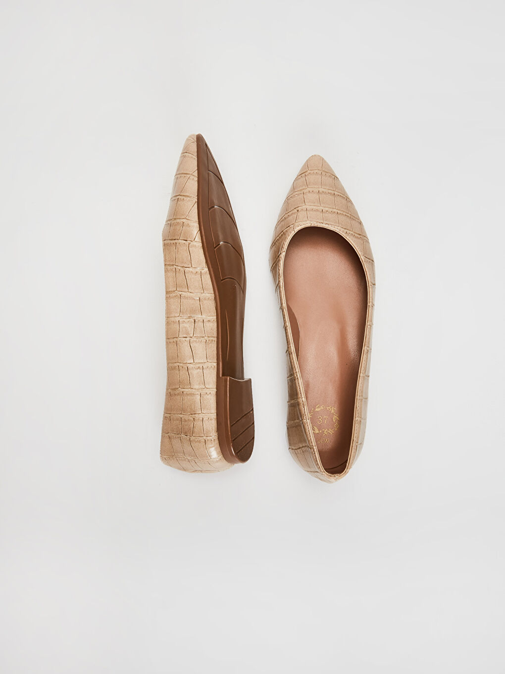 Bej Ten Rengi Babet-1