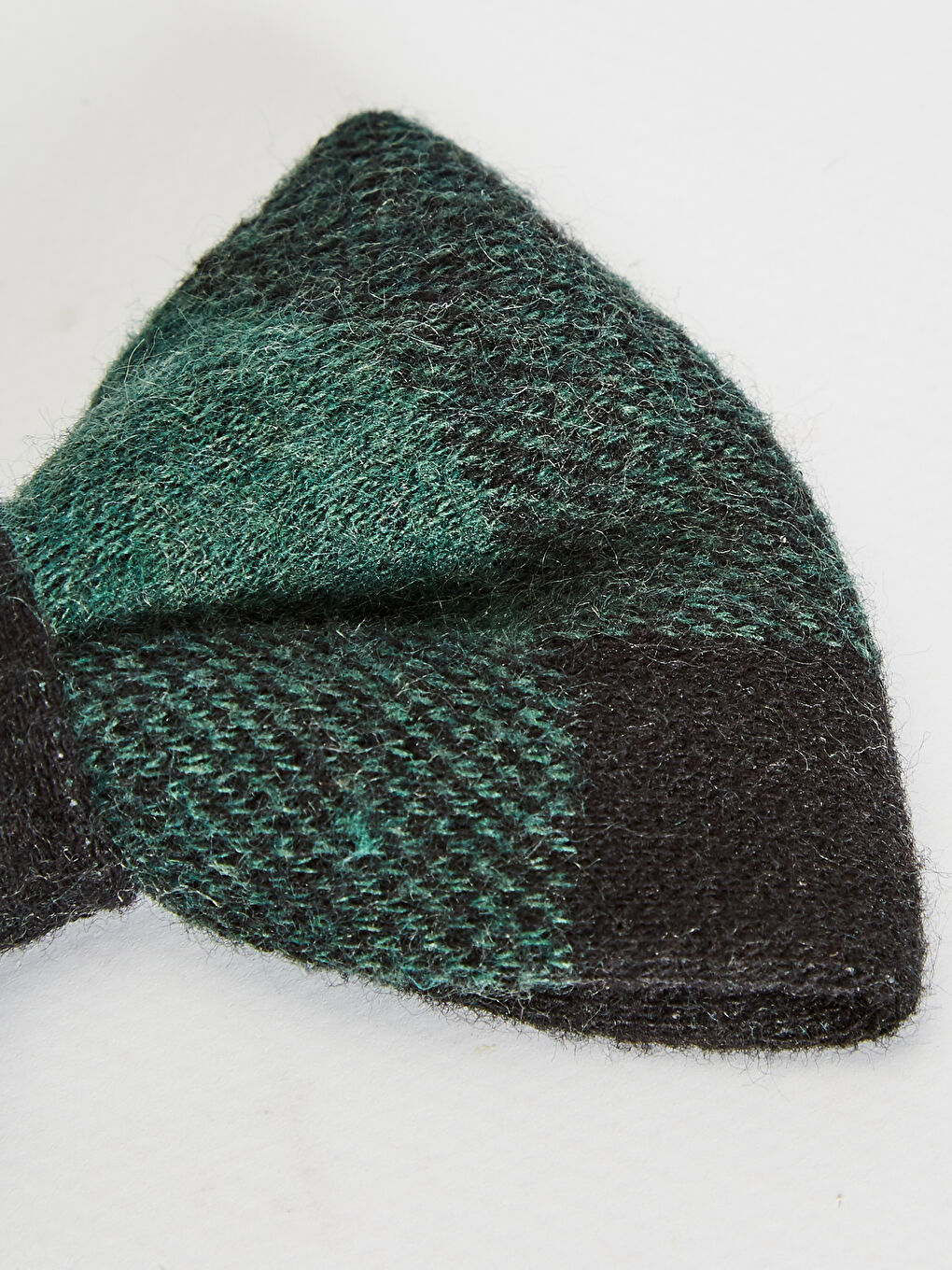 Köpek Papyon Tasma-3