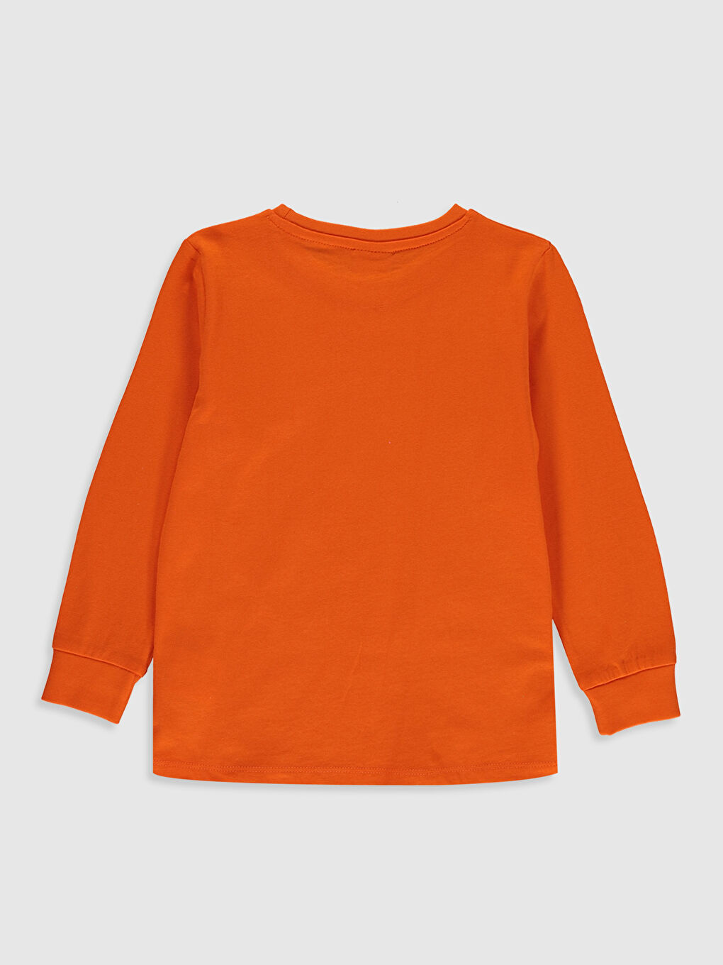 Crew Neck Long Sleeve Boys' T-Shirt-1