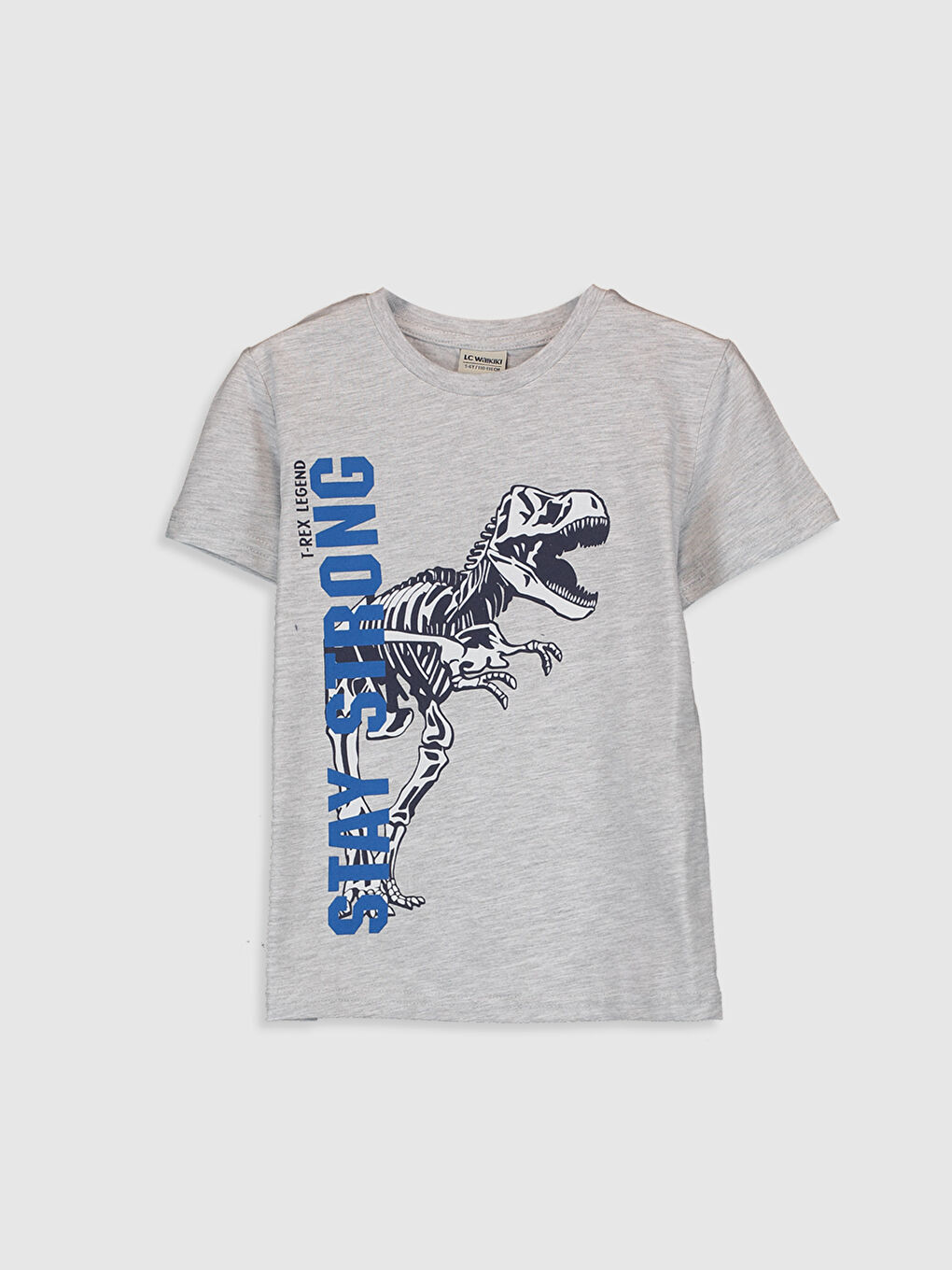 Gri Erkek Çocuk Güneşte Renk Değiştiren Pamuklu Tişört