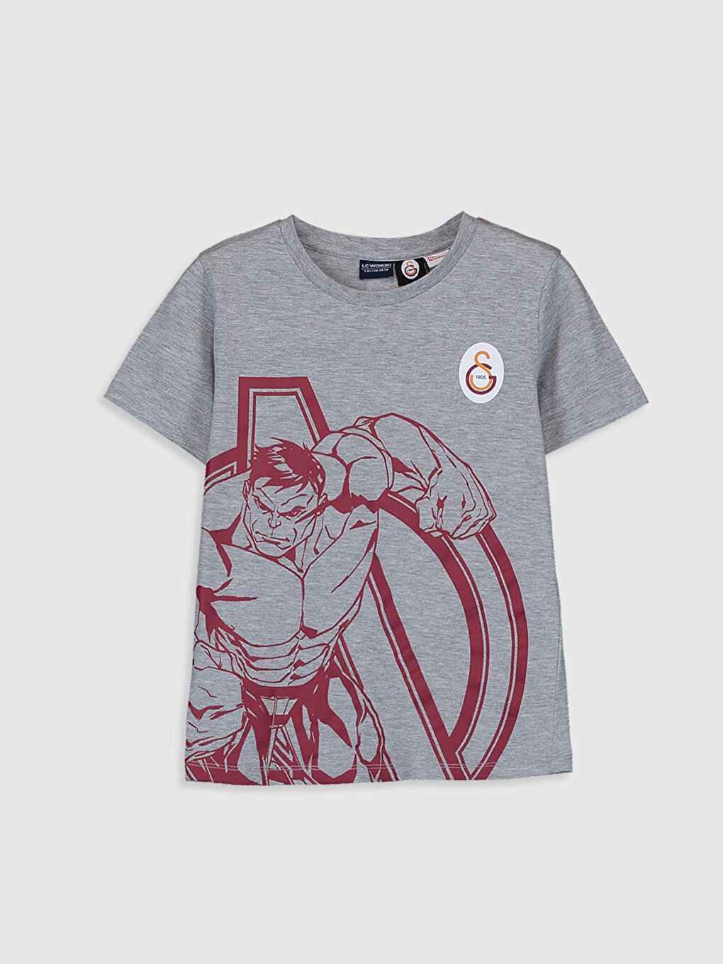 Gri Erkek Çocuk Galatasaray Baskılı Taraftar Tişört ve Şort-2