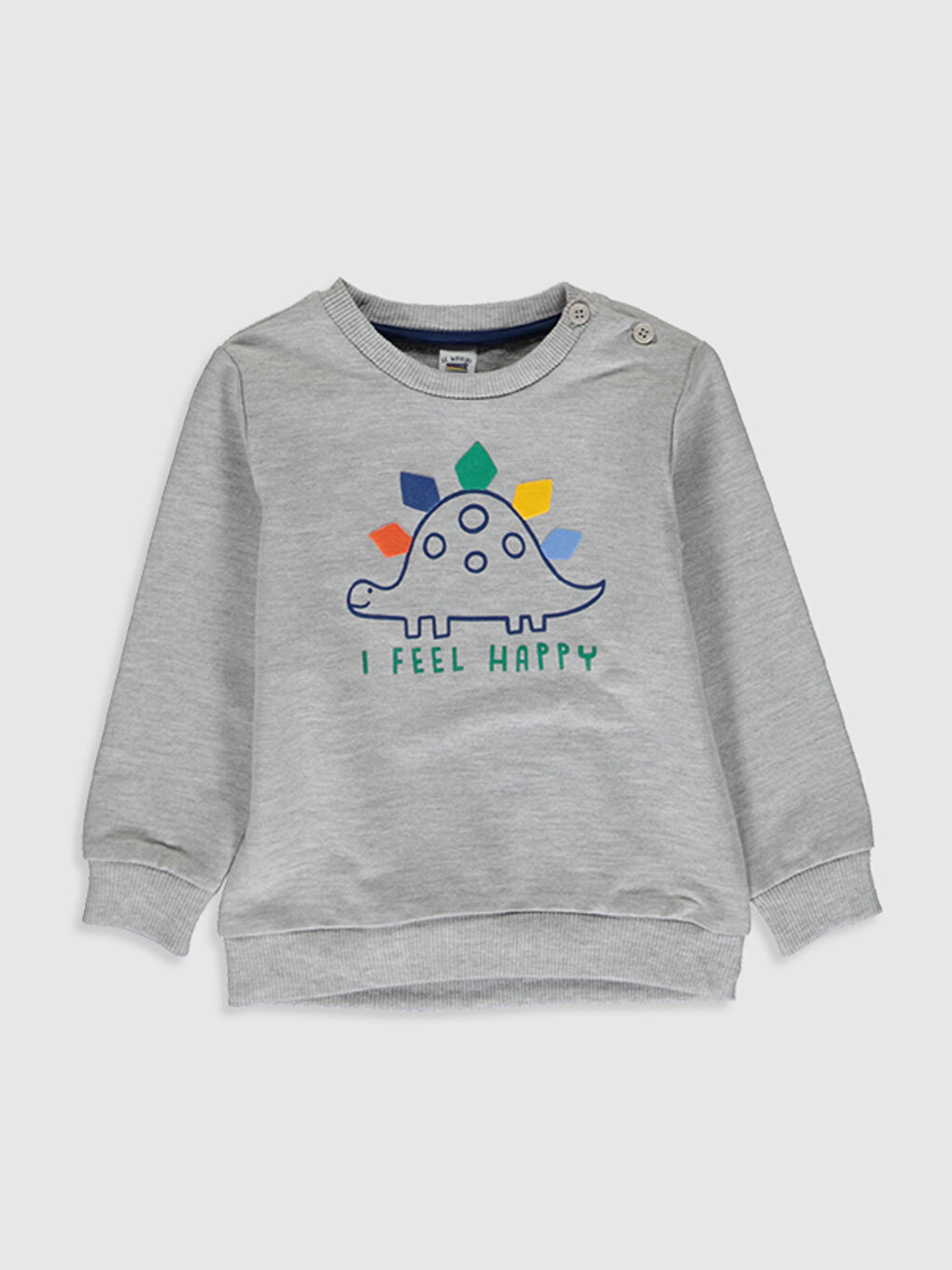 Crew Neck Long Sleeve Printed Baby Boys' Sweatshirt