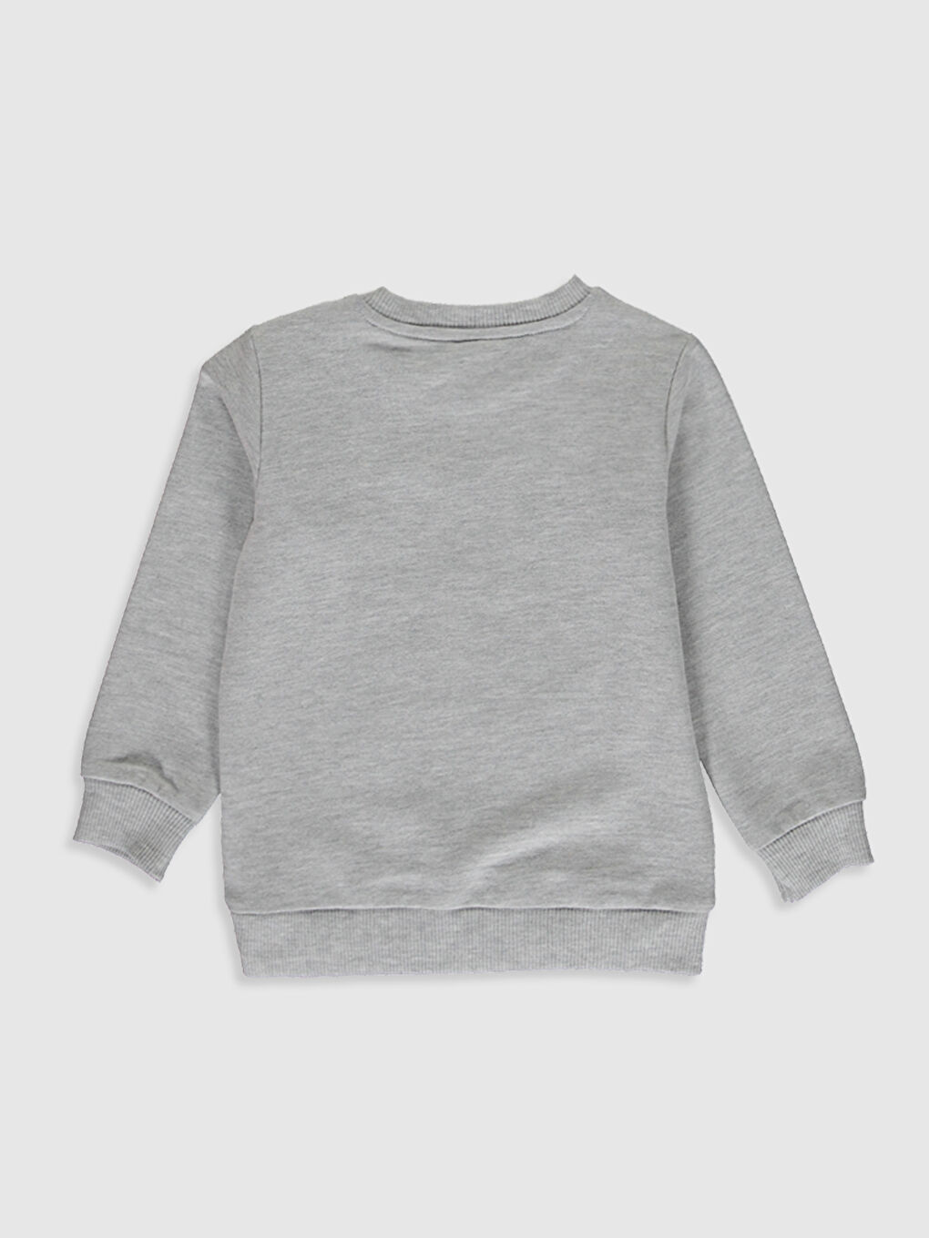 Crew Neck Long Sleeve Printed Baby Boys' Sweatshirt-1