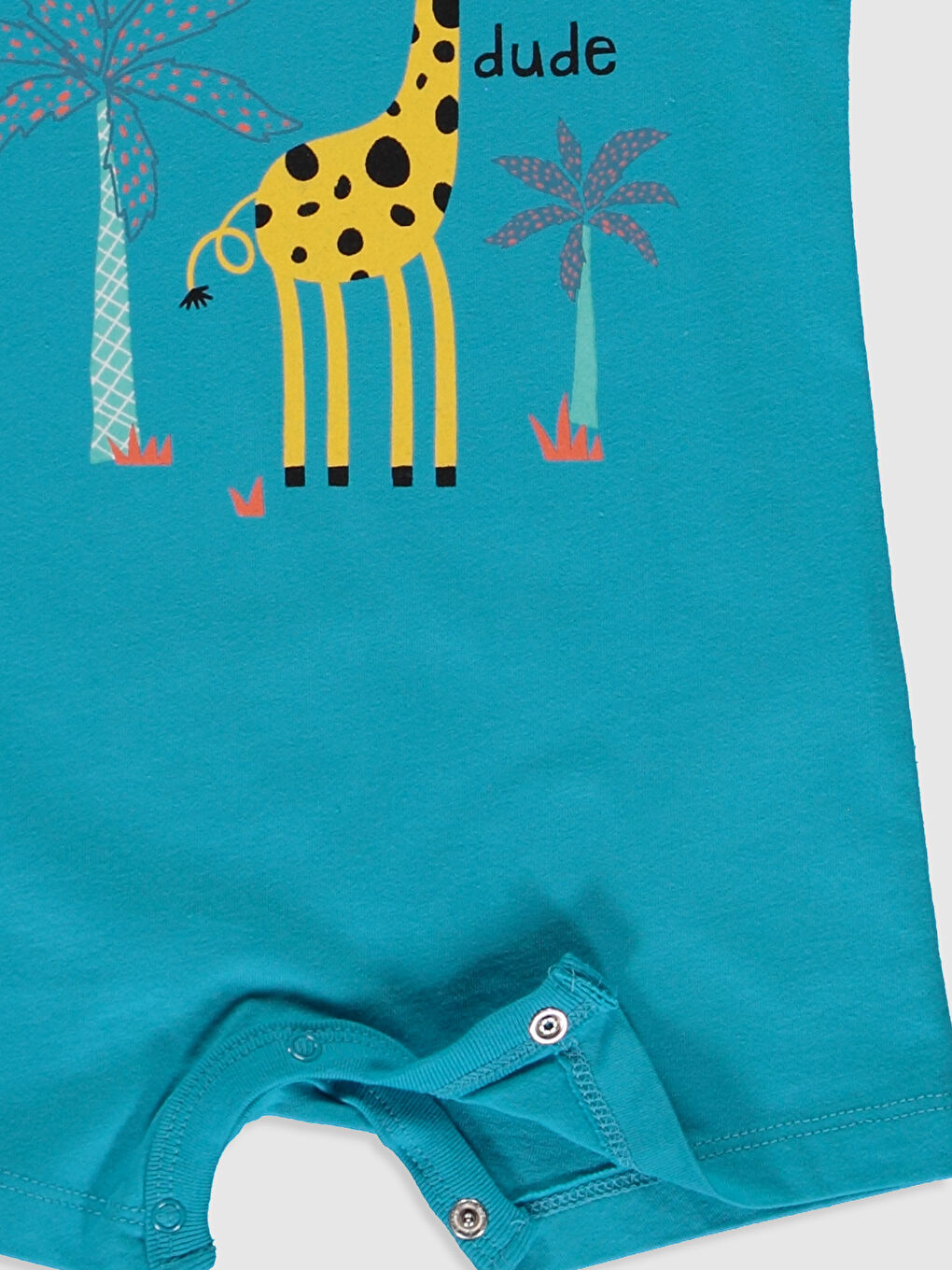 Turkuaz Erkek Bebek Desenli Tulum 2'li-4