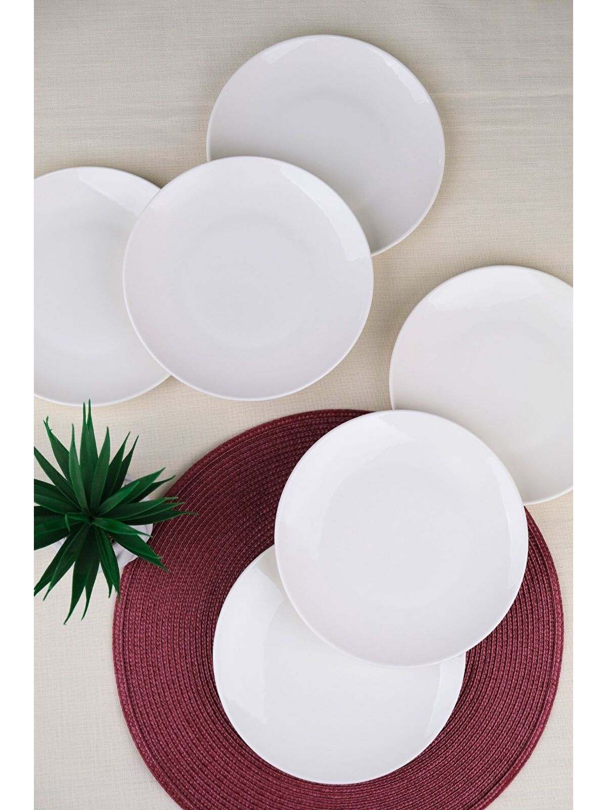 TABAK EVİ Porselen Chic Servis Tabağı 24,50cm 6 LI