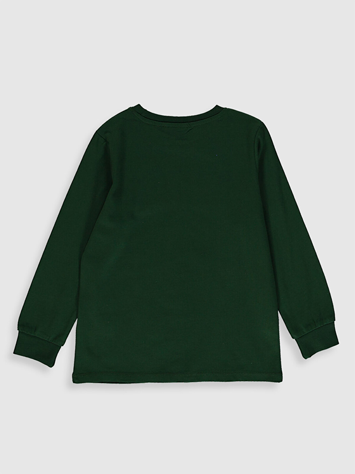LCW Kids Erkek Çocuk Hulk Baskılı Pamuklu Tişört - 0WAV18Z4-HPX
