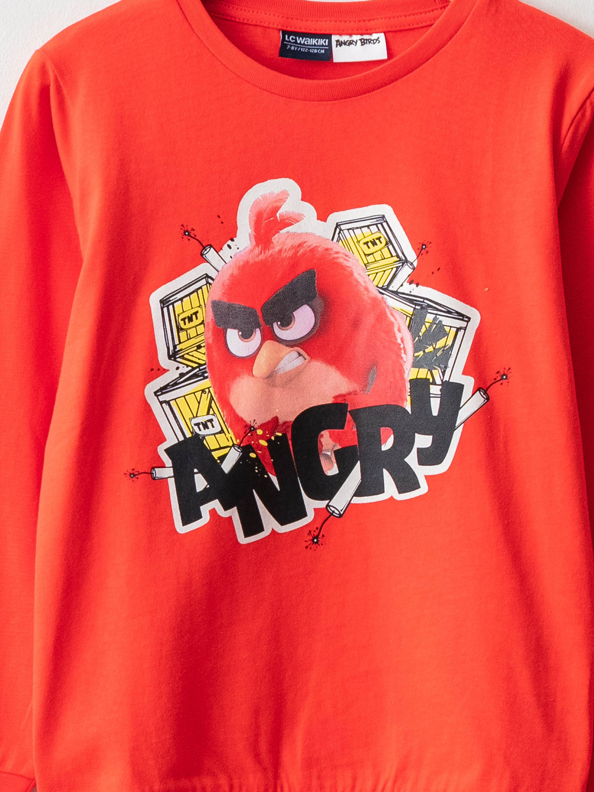 LCW Kids Crew Neck Angry Birds Printed Long Sleeve Boy T-shirt