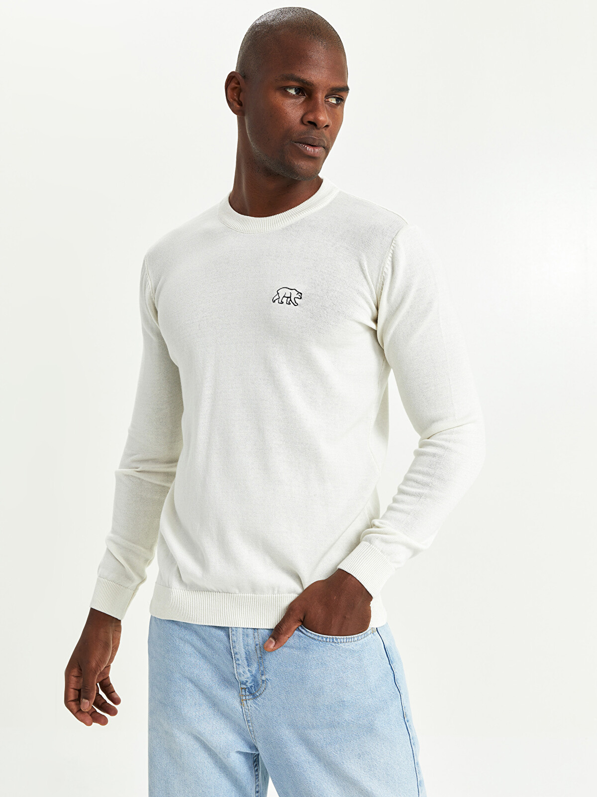 XSIDE Crew Neck Men's Knitwear Sweater - W1IQ74Z8-RTA | LC Waikiki