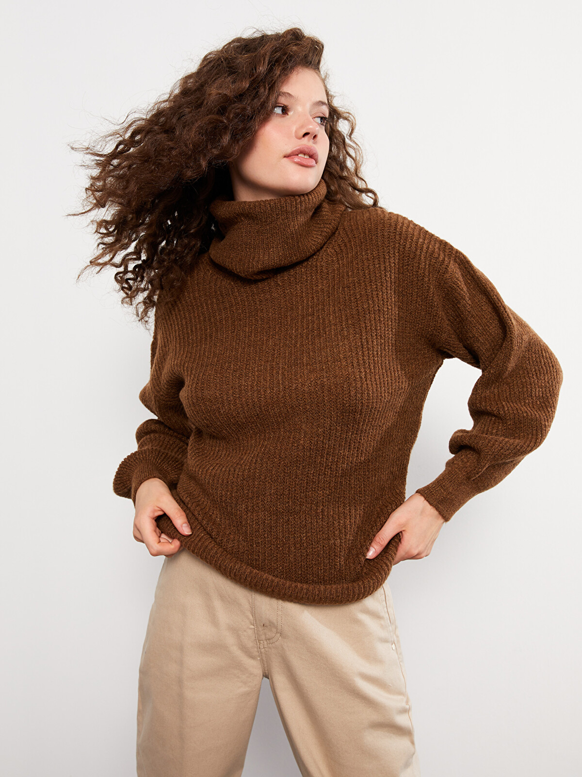 LCW Vision Turtleneck Plain Long Sleeve Women's Knitwear Sweater