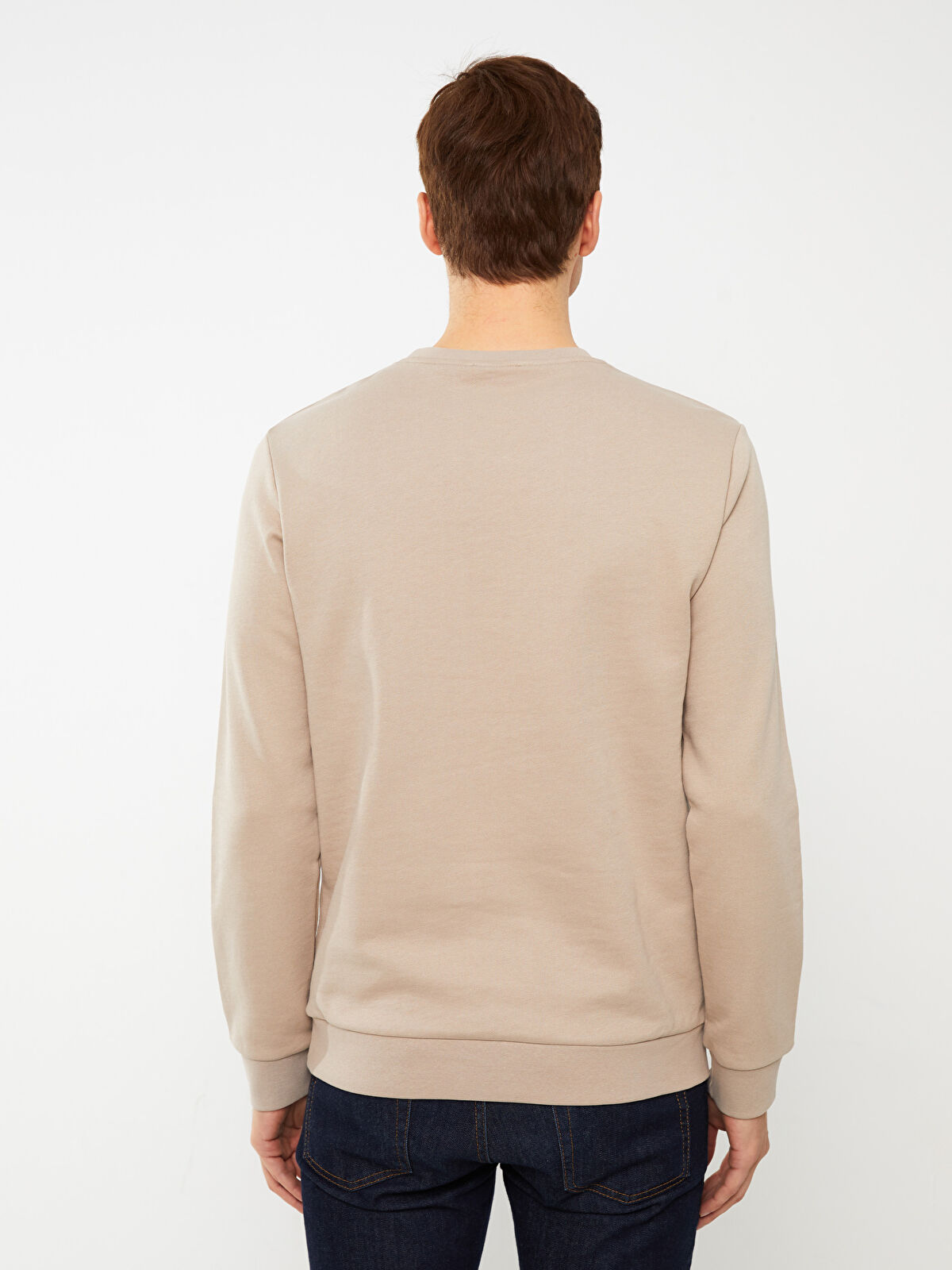 Crew Neck Long Sleeve Men's Sweatshirt -S31062Z8-GE8 - LC