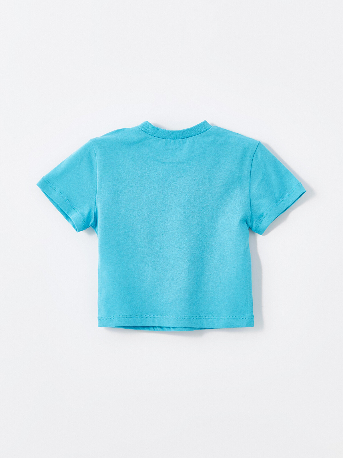 LCW baby Crew Neck Printed Baby Boys T-shirt 2 Pack - S4DQ97Z1-GGW