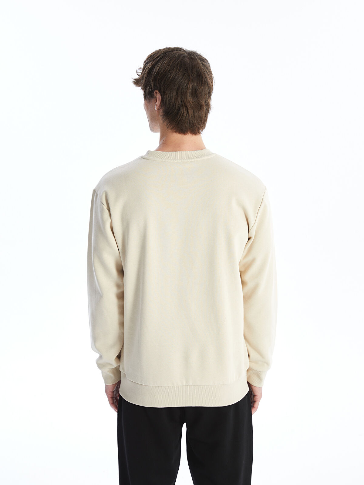 Crew Neck Printed Men's Thick Sweatshirt -W42366Z8-YFT - LC