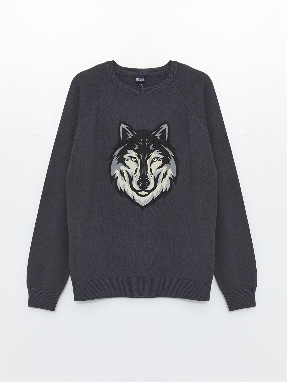 LCW Kids Antrasit Bisiklet Yaka Baskılı Uzun Kollu Erkek Çocuk