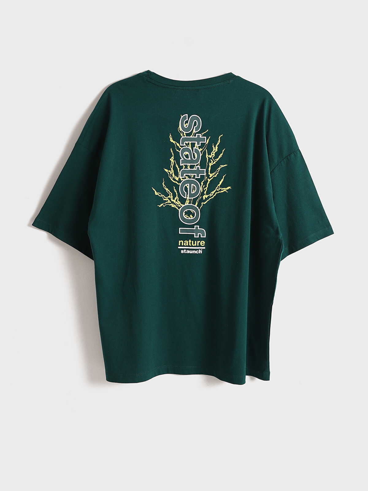 LCW Casual Bisiklet Yaka Baskılı Erkek Tişört - S52149Z8-HLW | LC