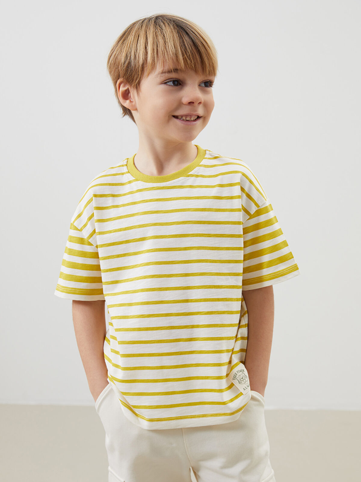 LCW Kids Yeşil Bisiklet Yaka Çizgili Erkek Çocuk Tişört 2'li