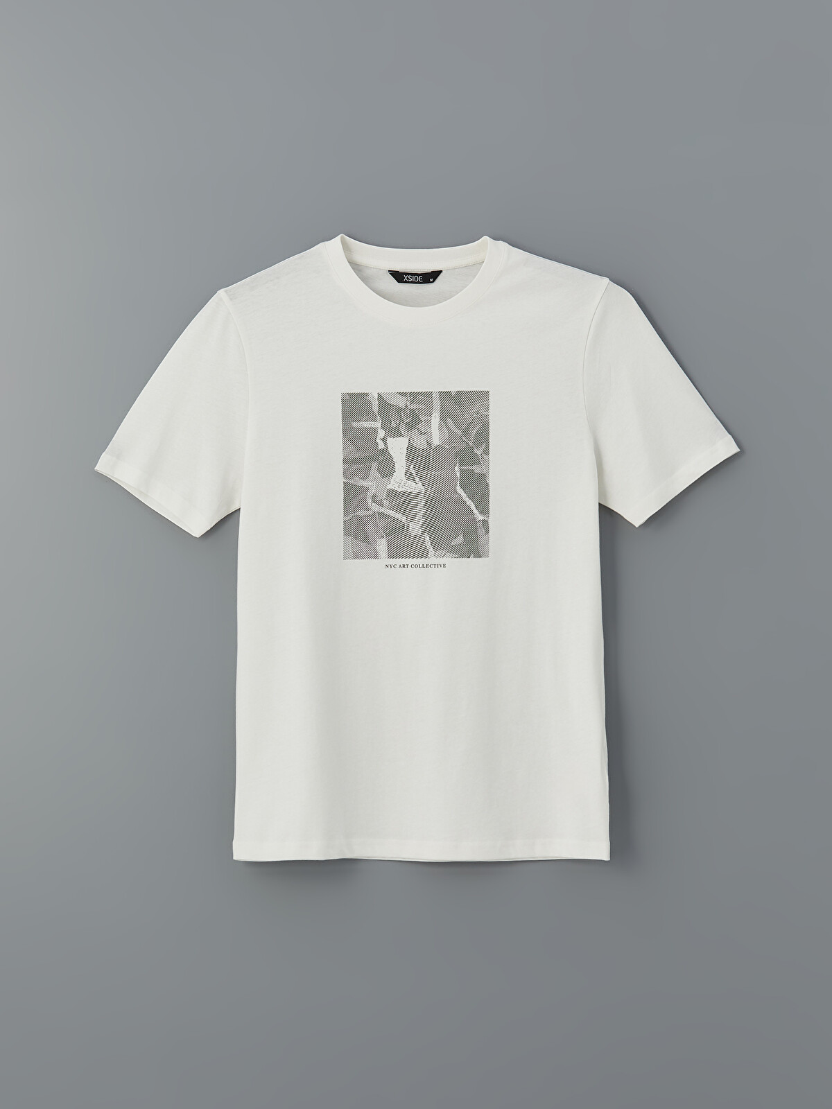 XSIDE Crew Neck Printed Men's T-Shirt - S5IL30Z8-EEW | LC Waikiki
