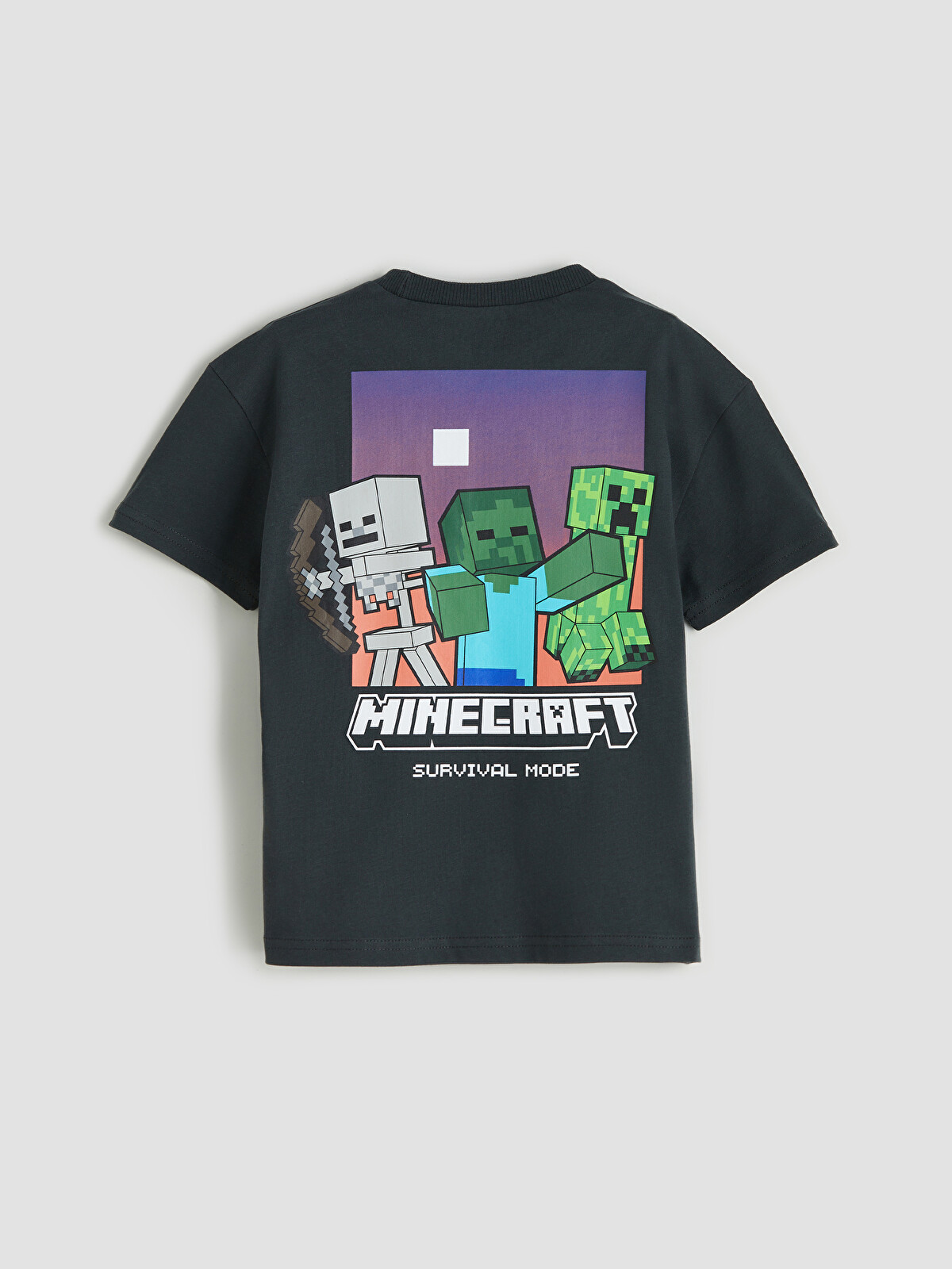 LCW Kids Minecraft Baskılı Erkek Çocuk Tişört - S5N769Z1-R4W | LC