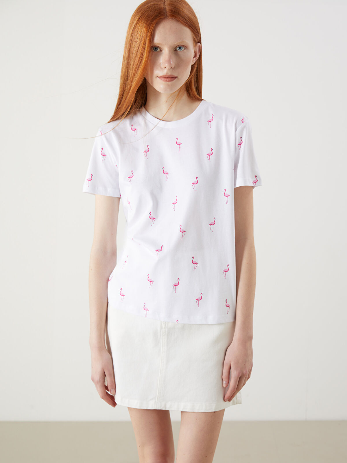 Anne♪ l_20251-s5ot21z8-q6k-81-60-88-