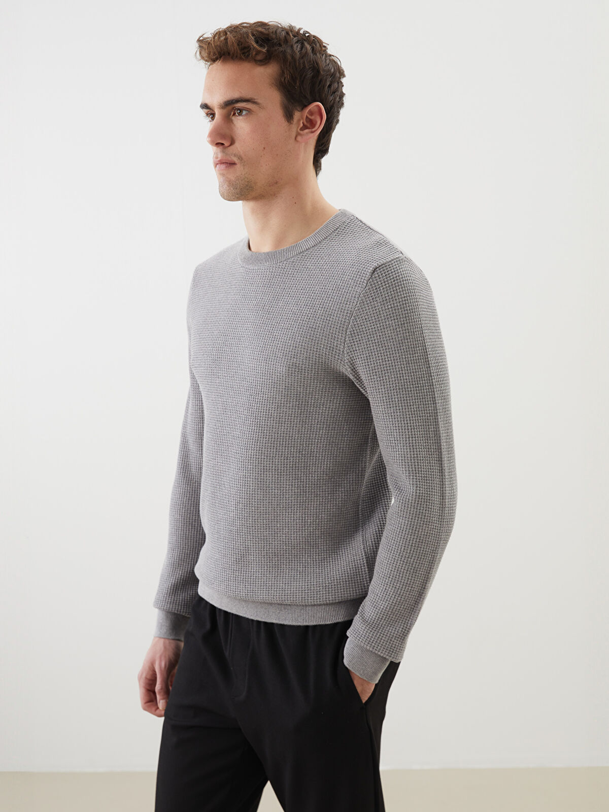 LCW Vision Crew Neck Checkered Men's Knit Sweater -W58258Z8-LAL