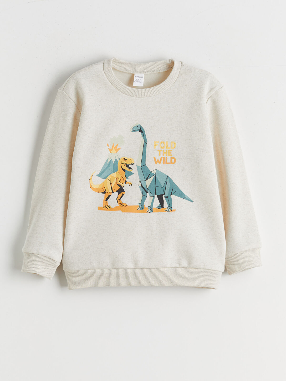 LCW Kids Dinozor Baskılı Erkek Çocuk Sweatshirt 2'li - W5EA73Z1
