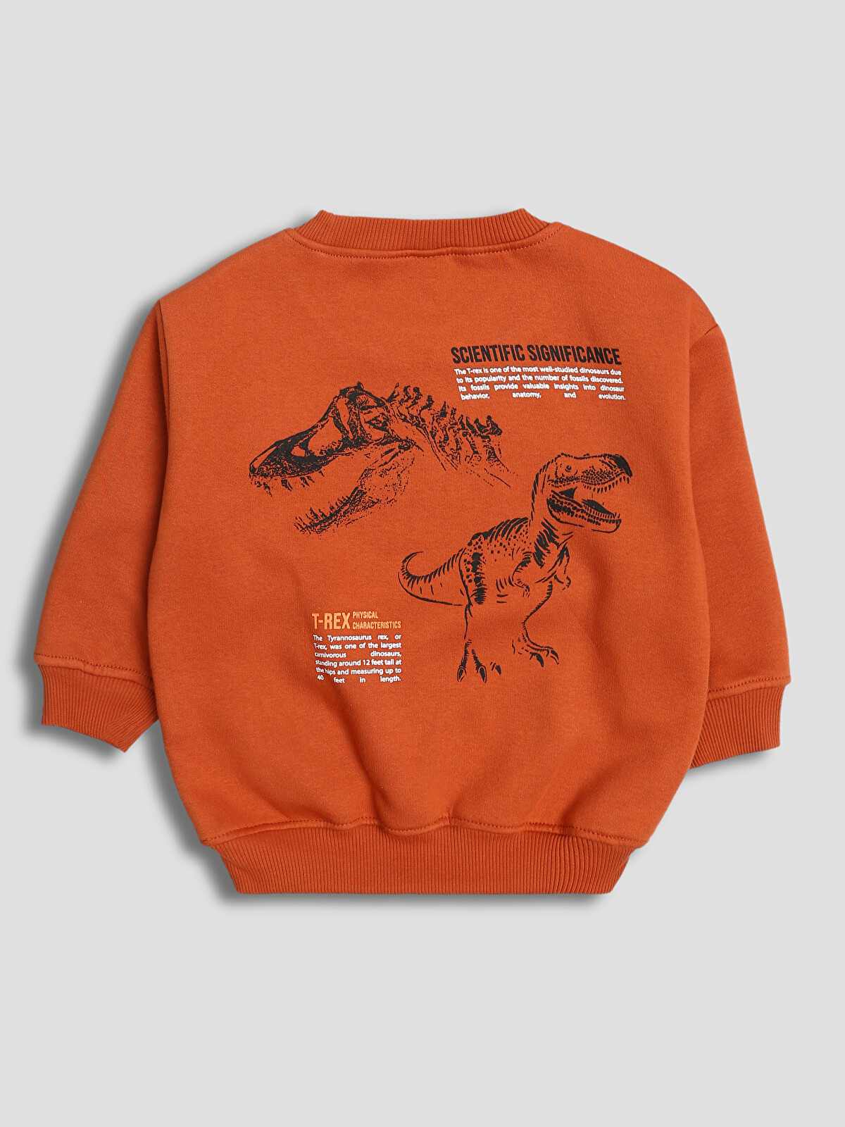 ケーナペルーPro. LCW baby Bisiklet Yaka Baskılı Erkek Çocuk Sweatshirt 2'li
