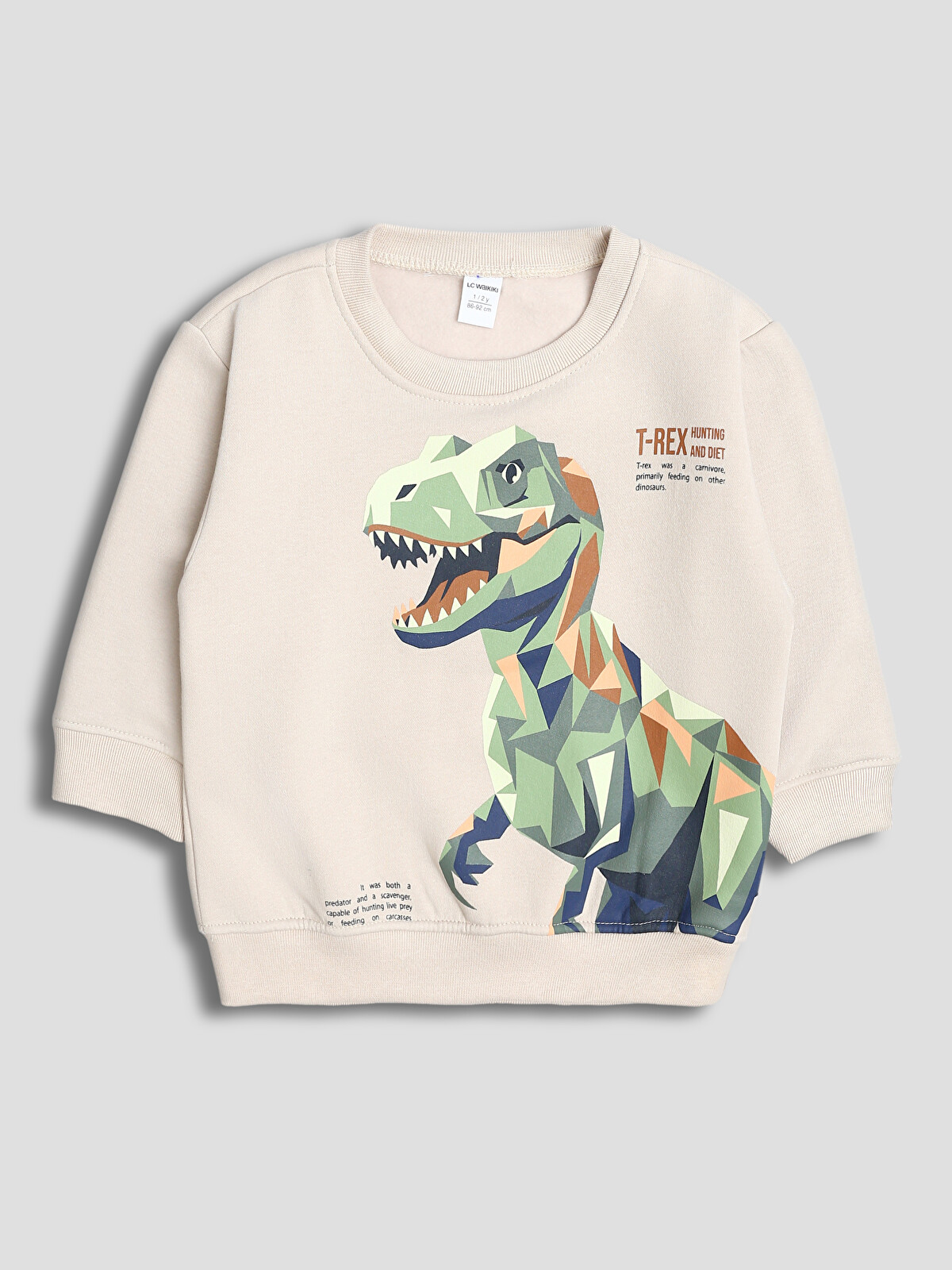 LCW baby Bisiklet Yaka Baskılı Erkek Çocuk Sweatshirt 2'li