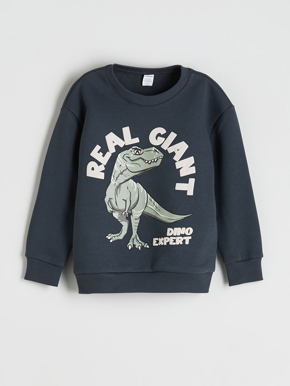 LCW Kids Antrasit Bisiklet Yaka Dinozor Baskılı Erkek Çocuk