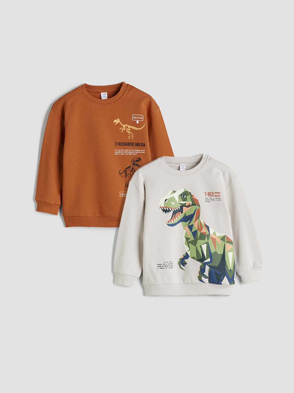 LCW Kids Gri Dinozor Figürlü Erkek Çocuk Sweatshirt 2'li