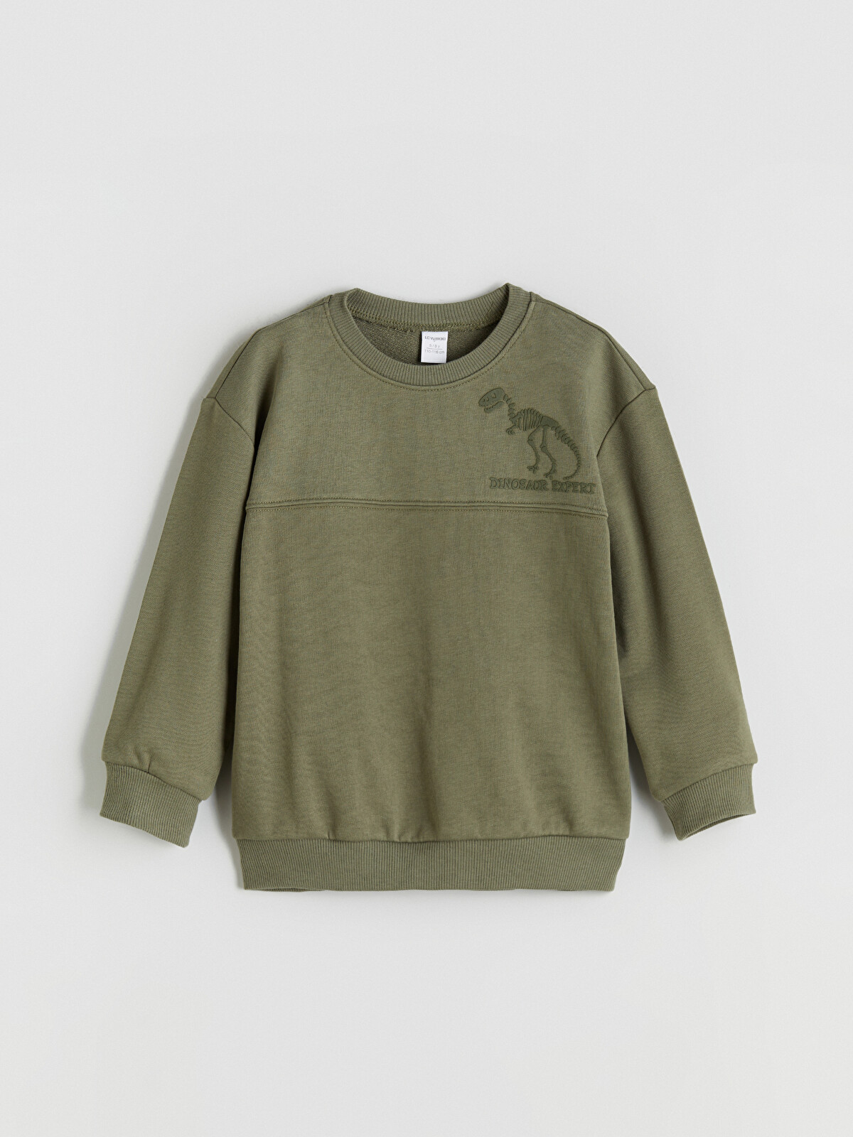 LCW Kids Haki Bisiklet Yaka Dinozor Baskılı Erkek Çocuk Sweatshirt