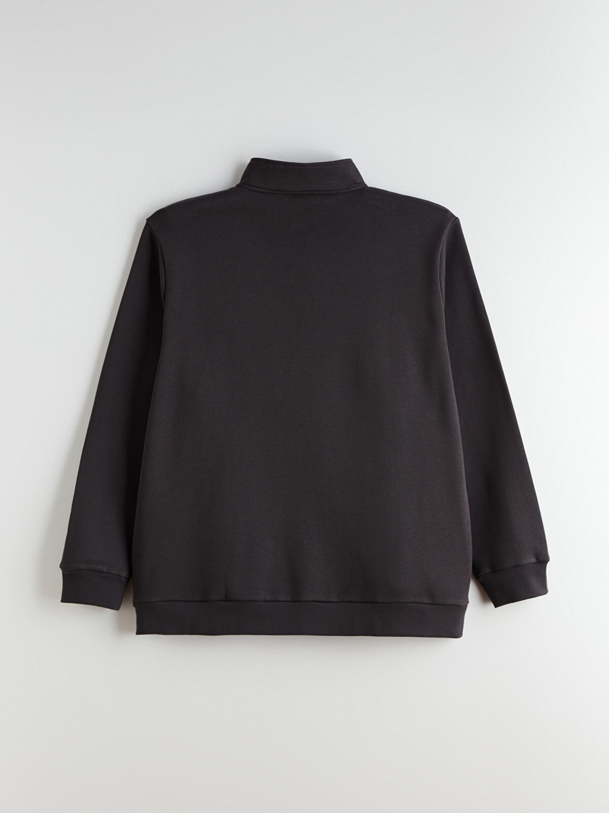 LCWAIKIKI Classic Büyük Beden Dik Yaka Erkek Sweatshirt - W5LV59Z8