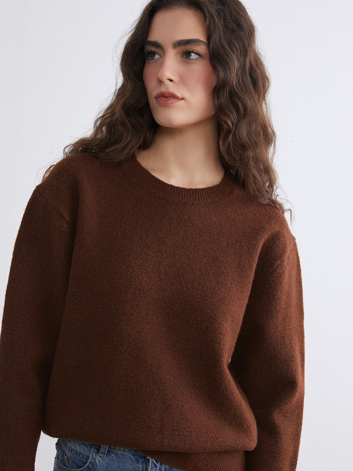 LCW Vision Crew Neck Women's Knitwear Sweater - W5NL95Z8-D7N | LC