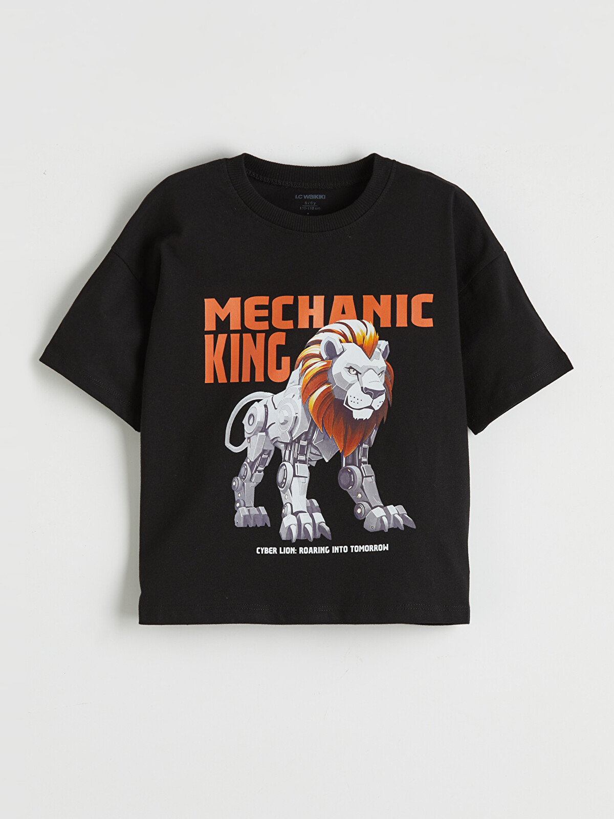 LCW Kids Baskılı Erkek Çocuk Tişört 2'li - S61440Z1-CVL | LC Waikiki