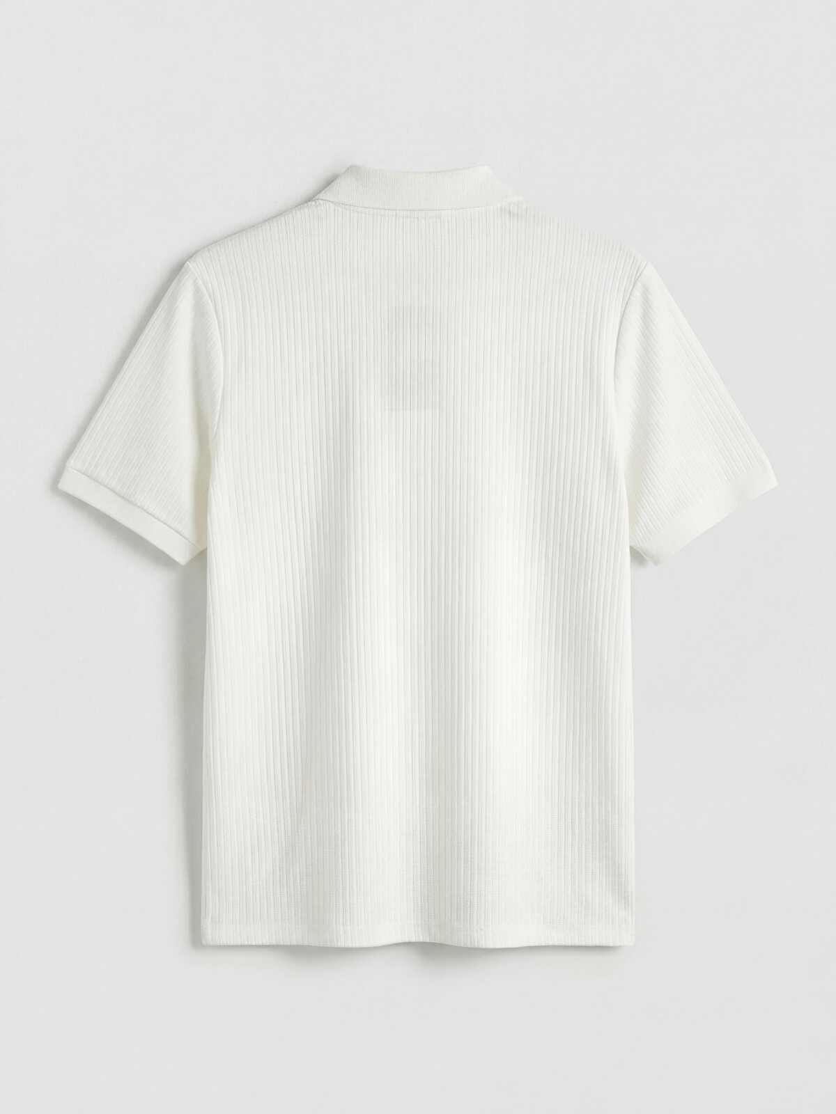 SOUTHBLUE Polo Collar Men's T-shirt - S6DS88Z8-R9J | LC Waikiki