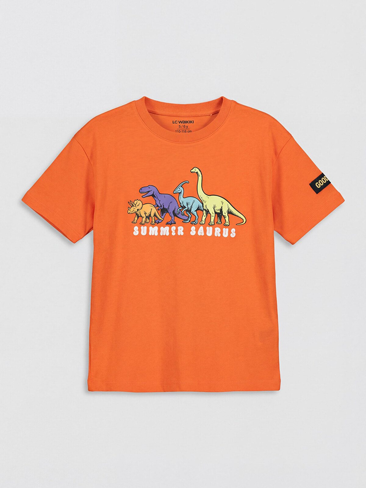 LCW Kids Dinozor Baskılı Erkek Çocuk Tişört - S6GF15Z1-GSZ | LC