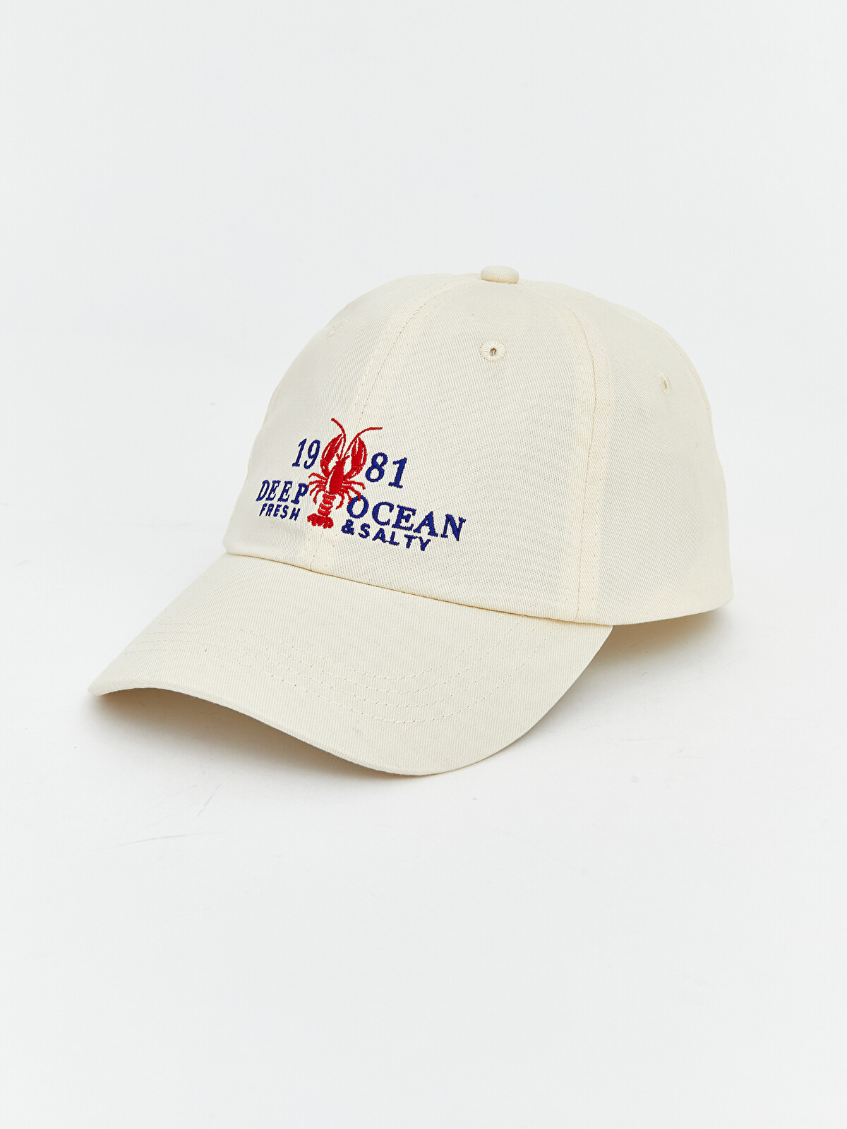 LCW ACCESSORIES Nakışlı Kadın Gabardin Kep Şapka - S6KK65Z8-CR8