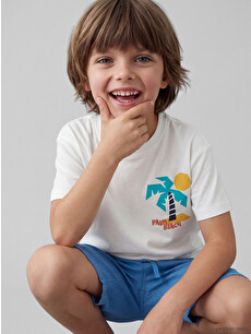 LCW Kids Crew Neck Printed Boys' T-shirt - S5CL09Z1-R9J | LC Waikiki