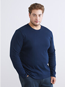 LCWAIKIKI Classic Crew Neck Basic Long Sleeve Men's T-shirt