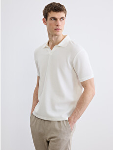LCW Vision Polo Men's T-shirt - S6AY72Z8-R9J | LC Waikiki